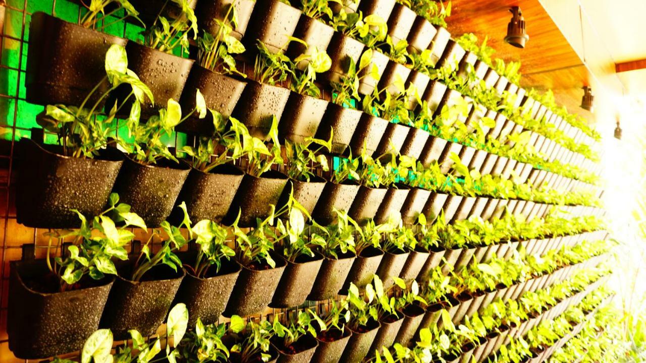 Thayamkery'S Royal Inn Kochi Eksteriør billede